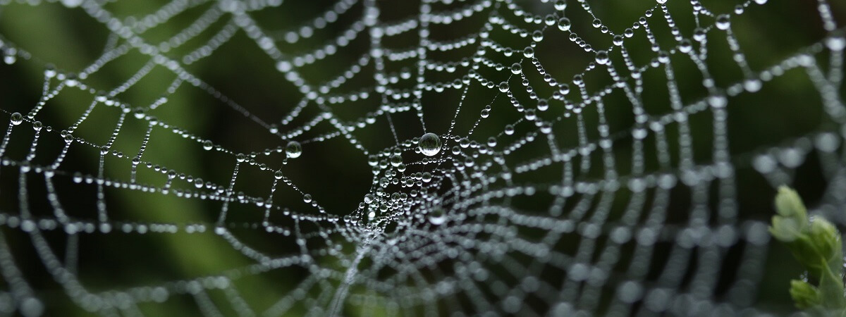 navigatiestructuur website bepalen interne links