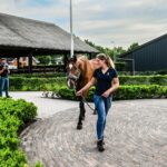 Header afbeelding website SMDC Heesch