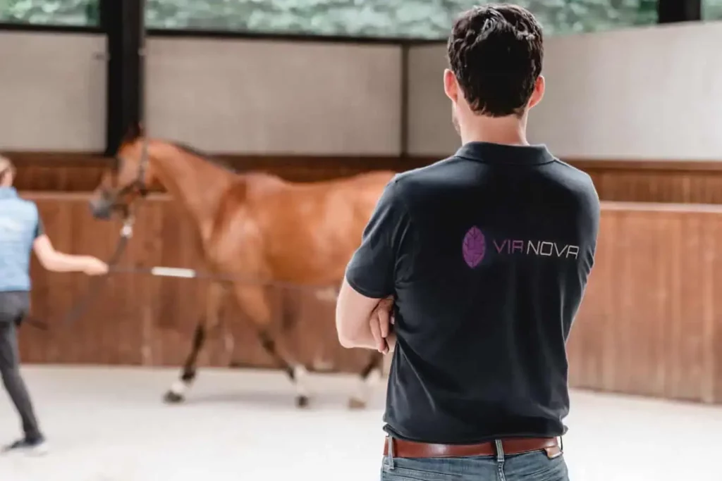 Header Via Nova Equine