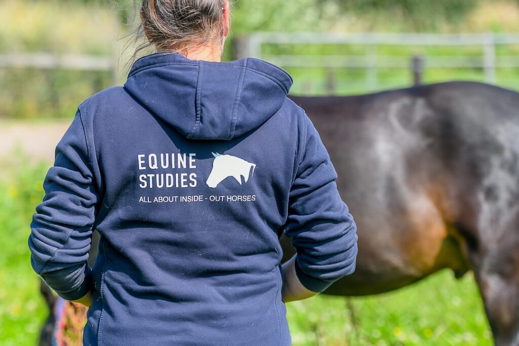 Header Equine Studies