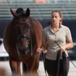 Header Sabien Verheijen