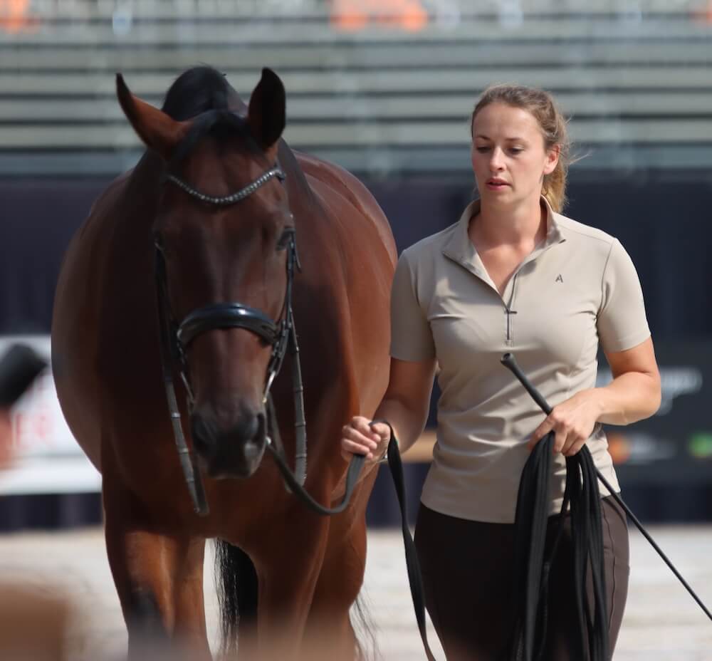 Header Sabien Verheijen