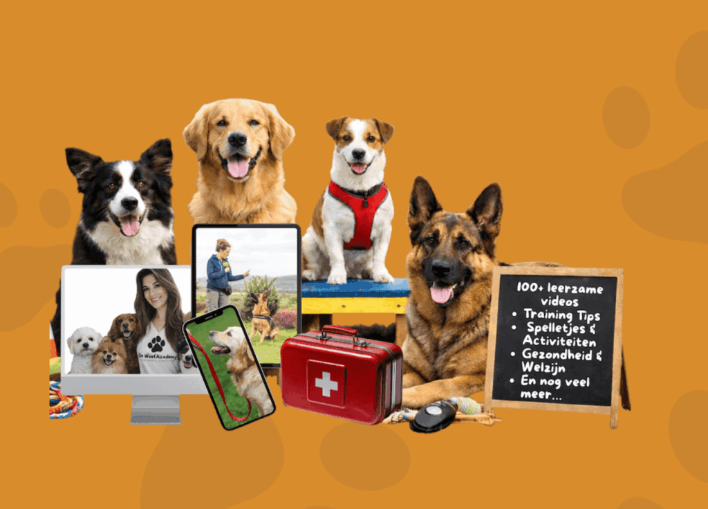 Header WoefAcademy